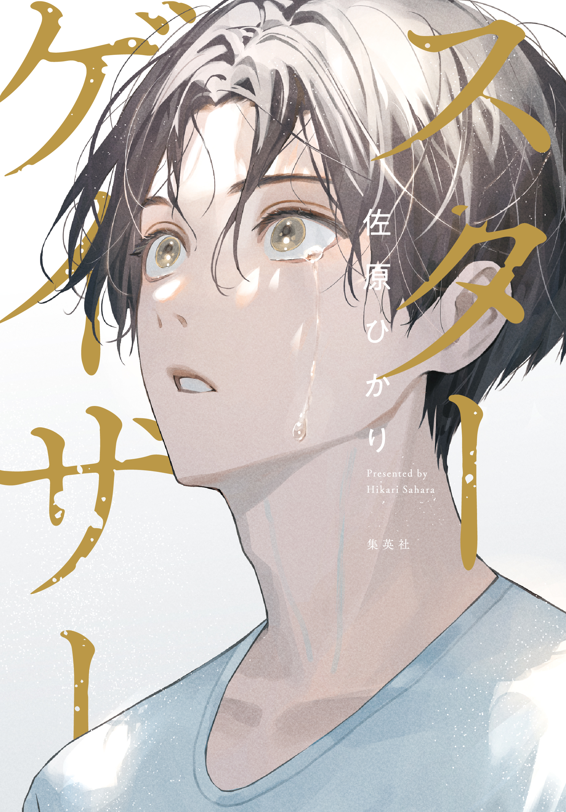 スターゲイザー_書影